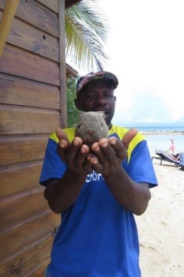 Wally-Jamaica Jamaica, Hotel Crew