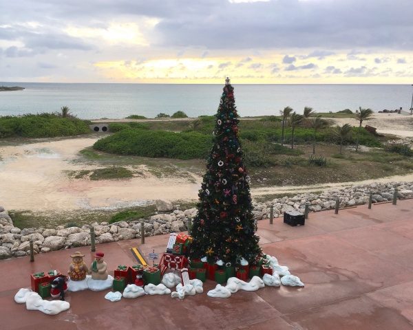 Greeted at Castaway Cay with sunrise and a holiday tree adorned with tropical ornaments.