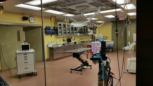 Medical facility Busch Gardens