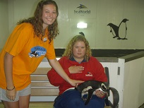 Sea World Penguin tour