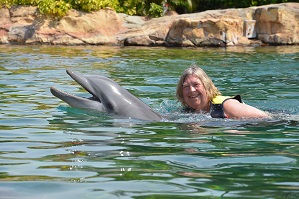 Swim with dolphins Discovery Cove