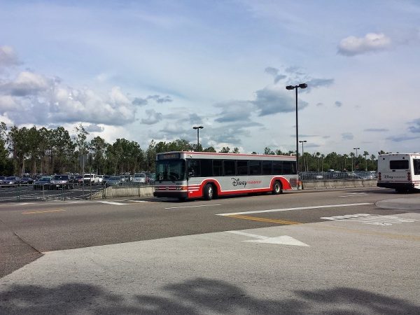 Disney Bus