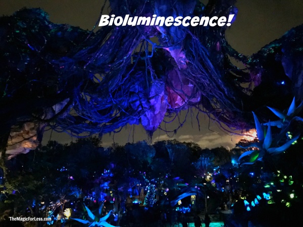 Pandora World of Avatar Bioluminescence