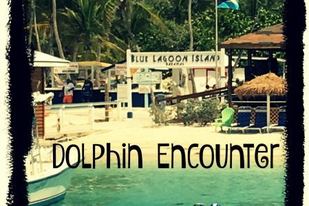 Blue Lagoon Island – Dolphin Encounter Blue Lagoon Island – Dolphin Encounter