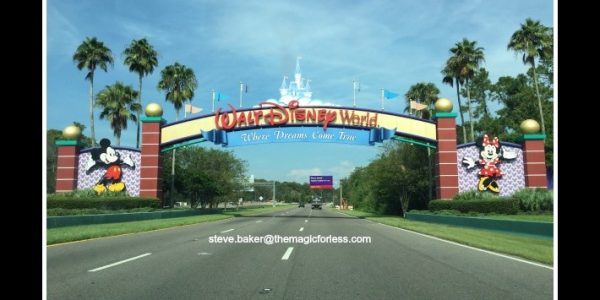 Interview with a Magic For Less Travel Walt Disney World Guest Interview with a Magic For Less Travel Walt Disney World Guest