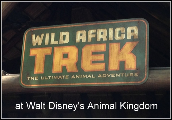 Wild Africa Trek at Walt Disney’s Animal Kingdom