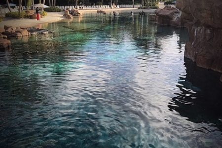 Discovery Cove is a Piece of Paradise in Orlando Discovery Cove is a Piece of Paradise in Orlando