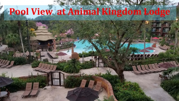 An Amazing Resort Animal Kingdom Lodge