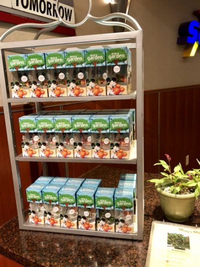 Plant display 1