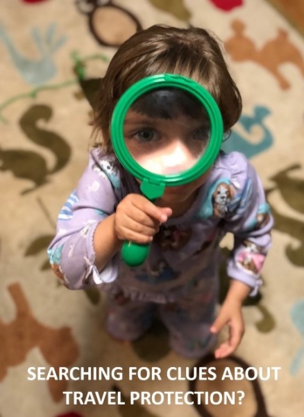 Searching for the best options! Travel Protection Options