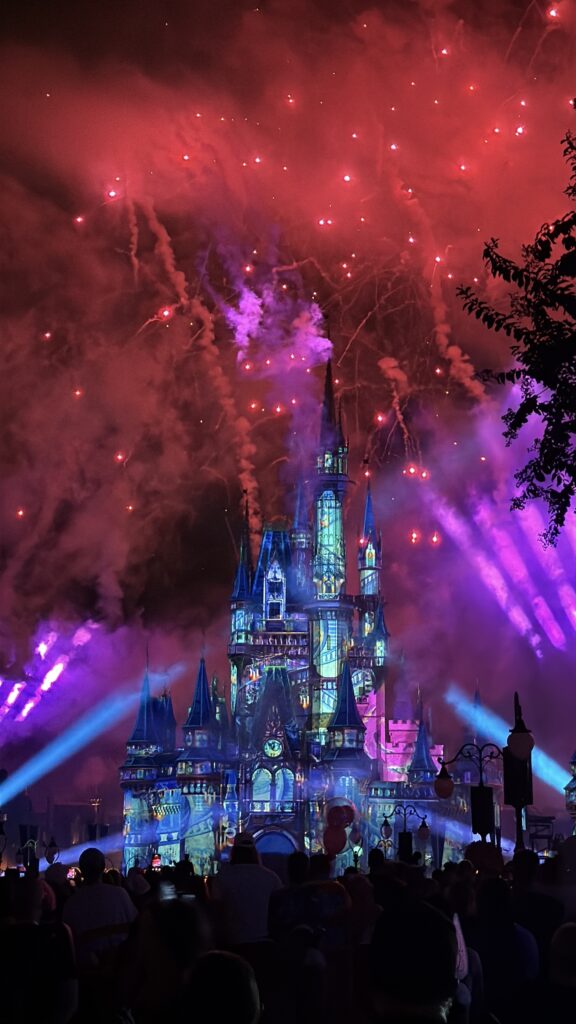 Mickey's Not So Scary Halloween party