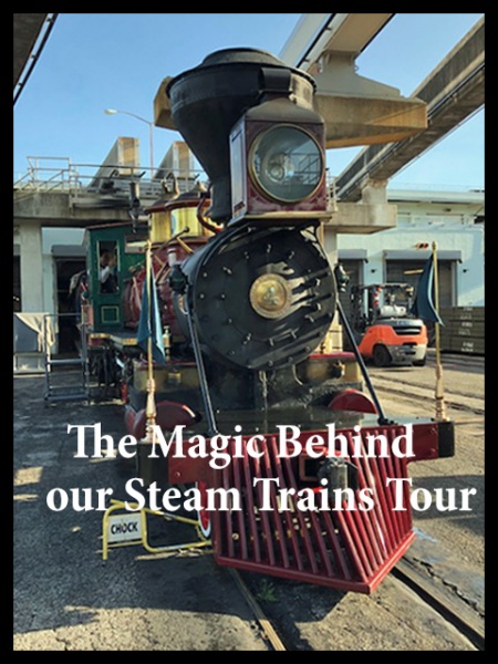 Disney's the Magic Behind Our Steam Trains Tour - All You Need to Know  BEFORE You Go (with Photos)