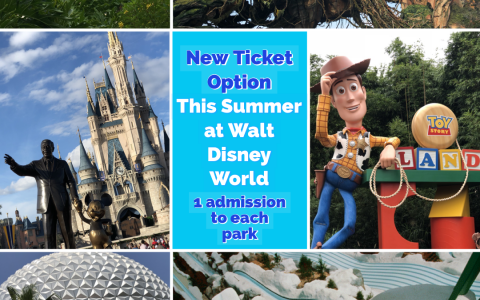 New Summer One World Ticket for Coming June 4 New Summer One World Ticket for Coming June 4