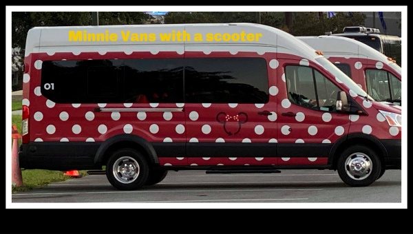 Minnie vans best sale