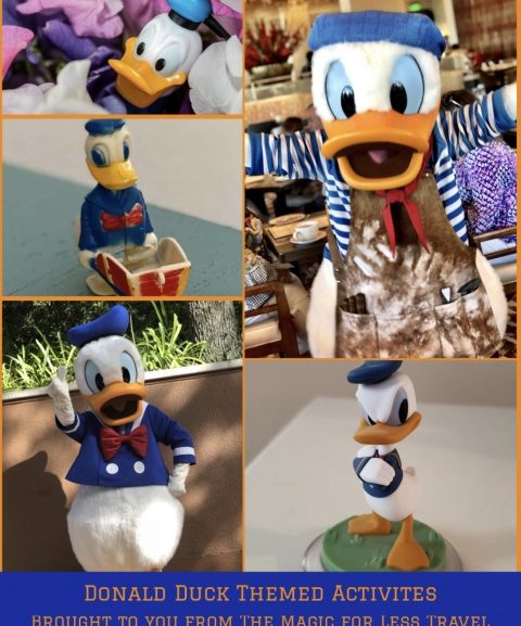 Donald Duck Themed Activities for Your Day at Home