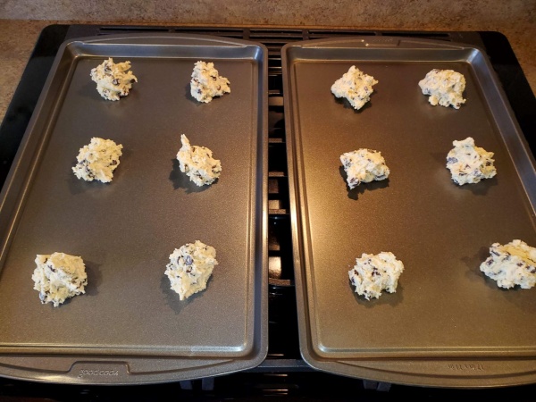 First Batch of cookies prior to baking