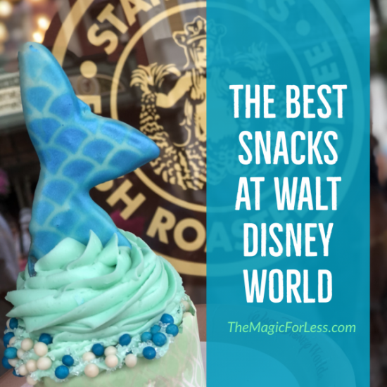 Best Snacks at WDW