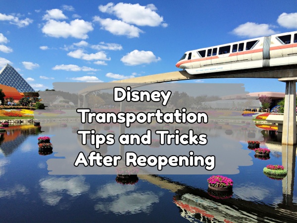 Disney Transportation Tips and Tricks After Reopening