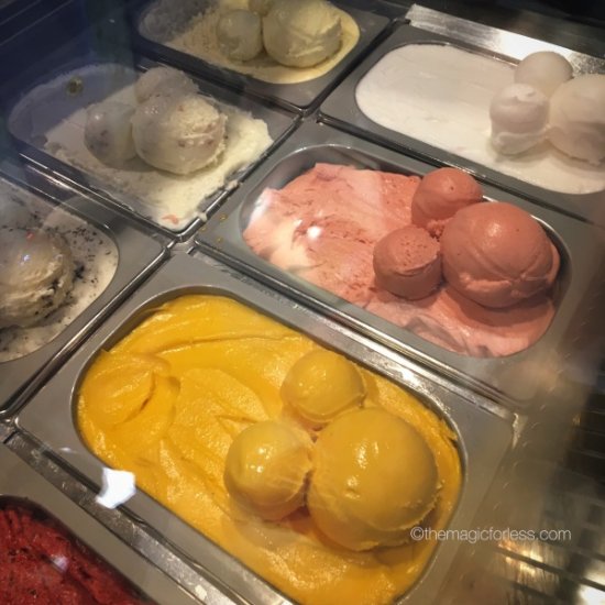  L'artisan des Glaces Ice Cream at Epcot's France Pavilion