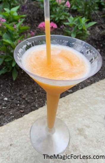 The Best Drinks at Walt Disney World Grand Marnier Slushie