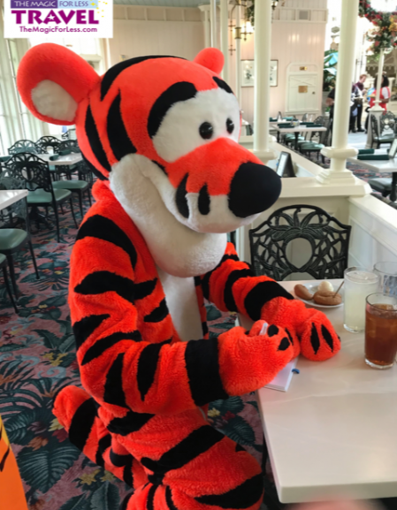 Disney World Character Meal–Don’t Pass Up This Experience!
