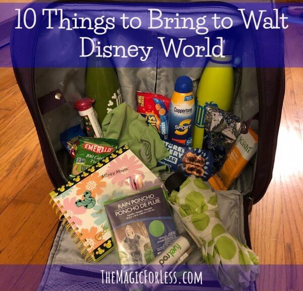 10 Things to Bring and Not Buy at Walt Disney World