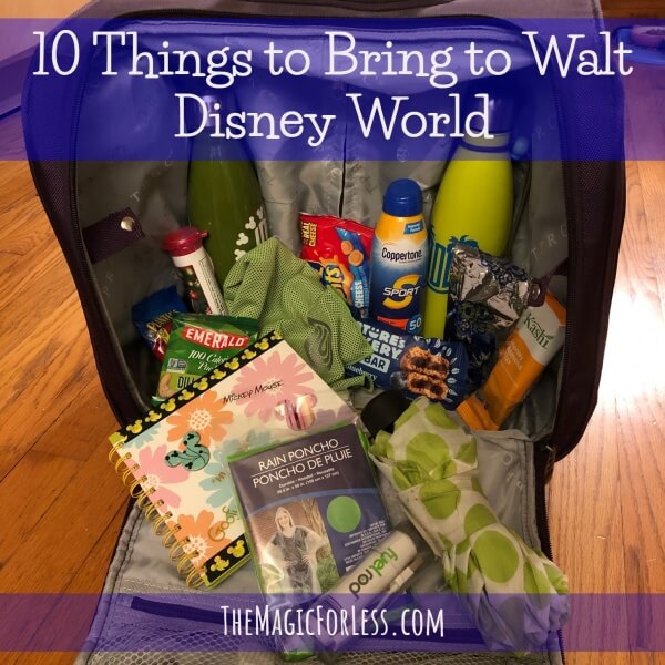 10 Things to Bring to Walt Disney World