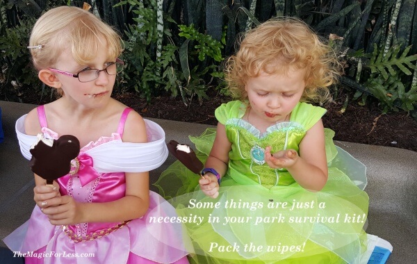 Pack the Wipes Park Survival Kit