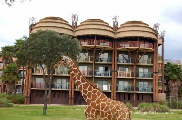 Walt Disney World Freebie Giraffe at AK Lodge