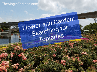 The Epcot Flower and Garden Festival