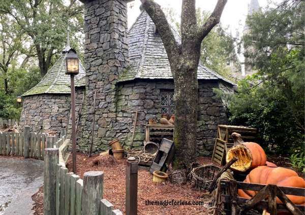 Hagrid's Hut Queue