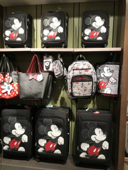 10 Best Walt Disney World Souvenirs The Magic For Less Travel Blog