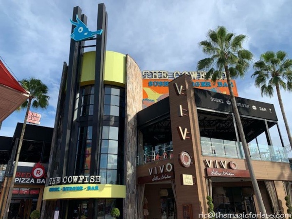 Cowfish and Vivo Cowfish and Vivo