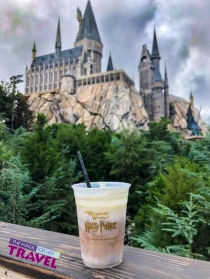 Frozen Butterbeer in front of Hogwarts Castle in the wizarding world of harry potter- Universal Studios Islands of Adventure