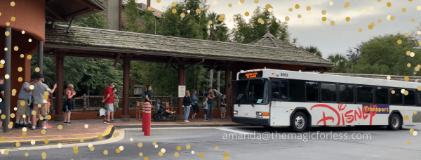 bus transportation at Walt Disney World