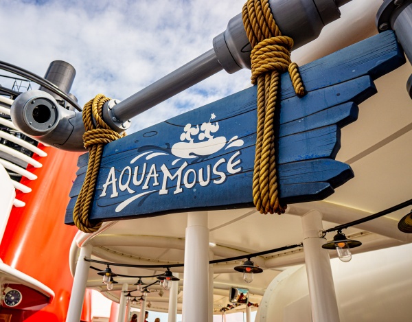 Aquamouse on the Disney Wish