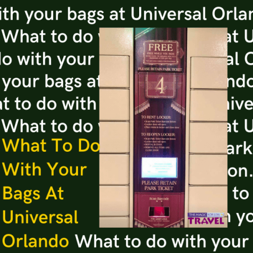 Bags at Universal Orlando and using lockers while riding attractions