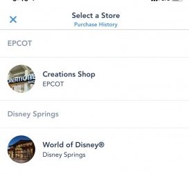 Pay as you Go WDW Store Options