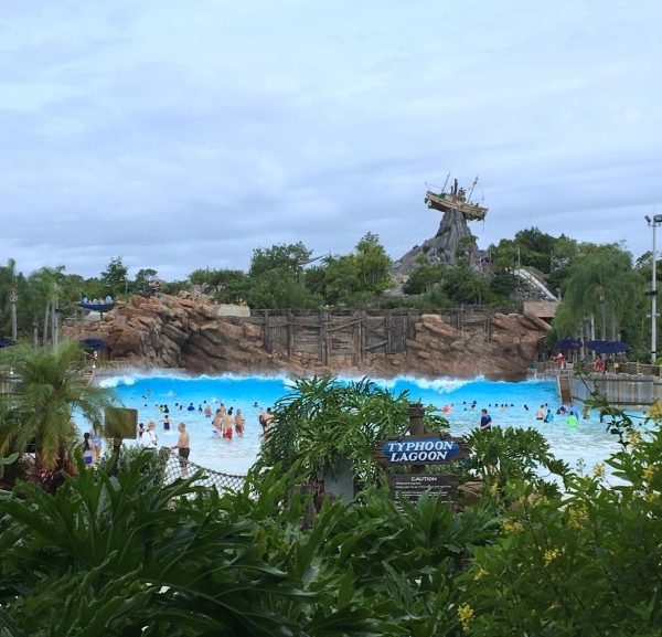 Typhoon Lagoon: Slides, Surf, and Snacks