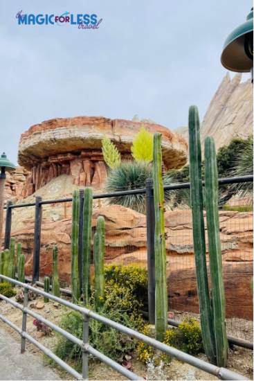 Cars Land DCA 22 Radiator Springs Racers