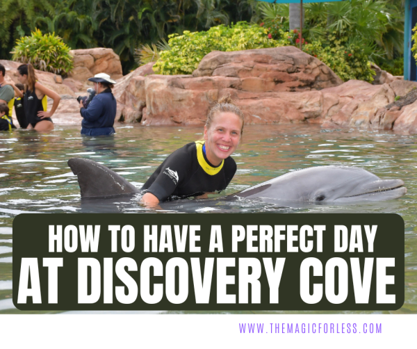 How To Have a Perfect Day at Discovery Cove!