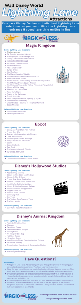 2024 Lightning Lane Attractions