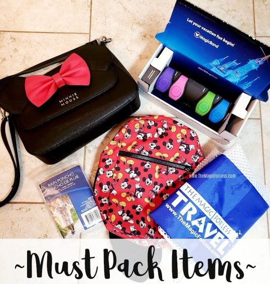 What You Need For A Day In The Parks at Walt Disney World