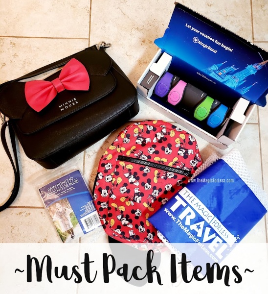 Items you need to put in your park bag