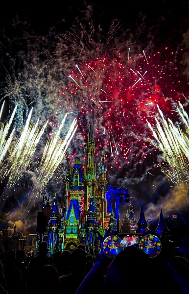 Magic Kingdom Fireworks Happily Ever After