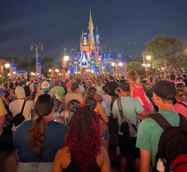 WDW Crowds