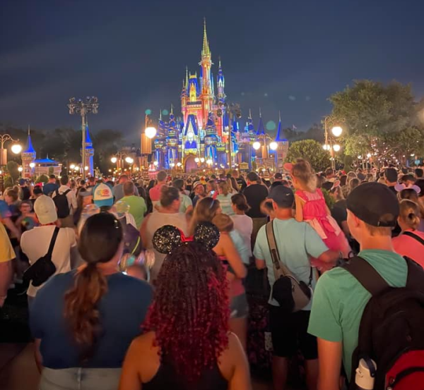 Walt Disney World First-Timers: Things to Know Before You Go