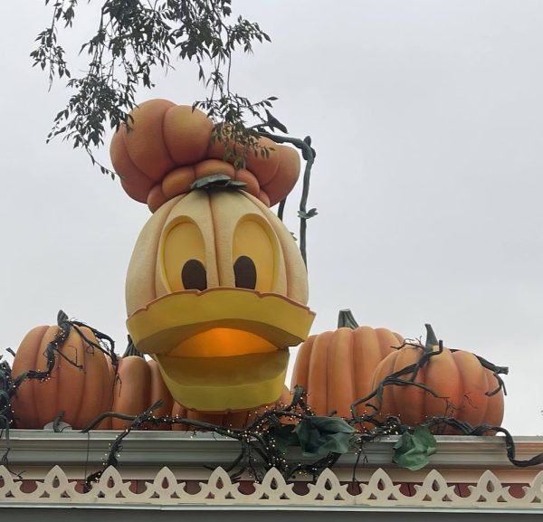 The Top Reasons to Plan a Fall Visit to Disneyland