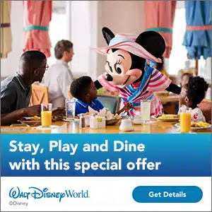 Walt Disney World Resort Offer