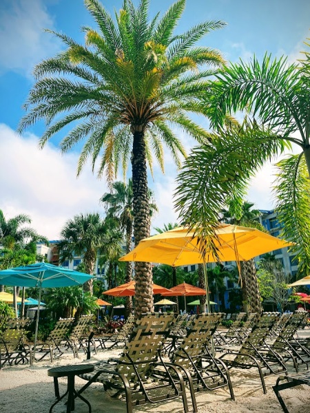 Beautiful Palms at the pool Sapphire Falls